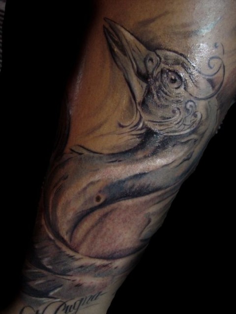 DSC03369